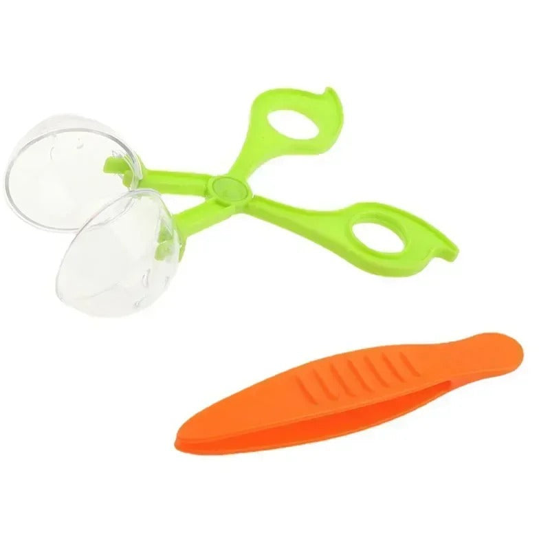 Kit Observação da Natureza